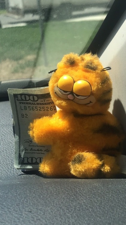 torracat:
this is the money garf. reblog for untold pasta and riches to come your way 
