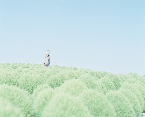 quietphotographyromance:unbenannt by une** on Flickr.