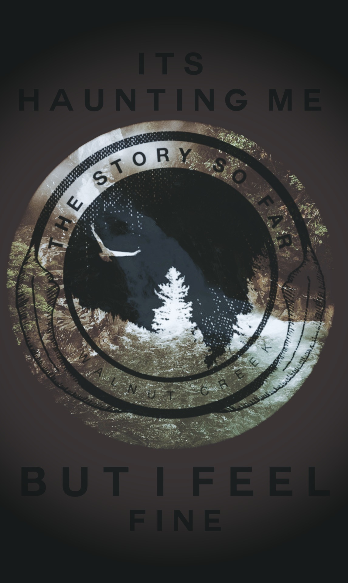 photo-sporadic:  The Story so Far- Placeholder 