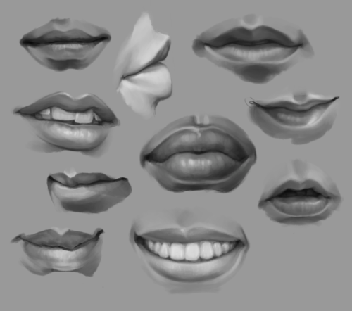 a compilation of the facial feature studies i did for a class- not very exciting, but i learned a lo