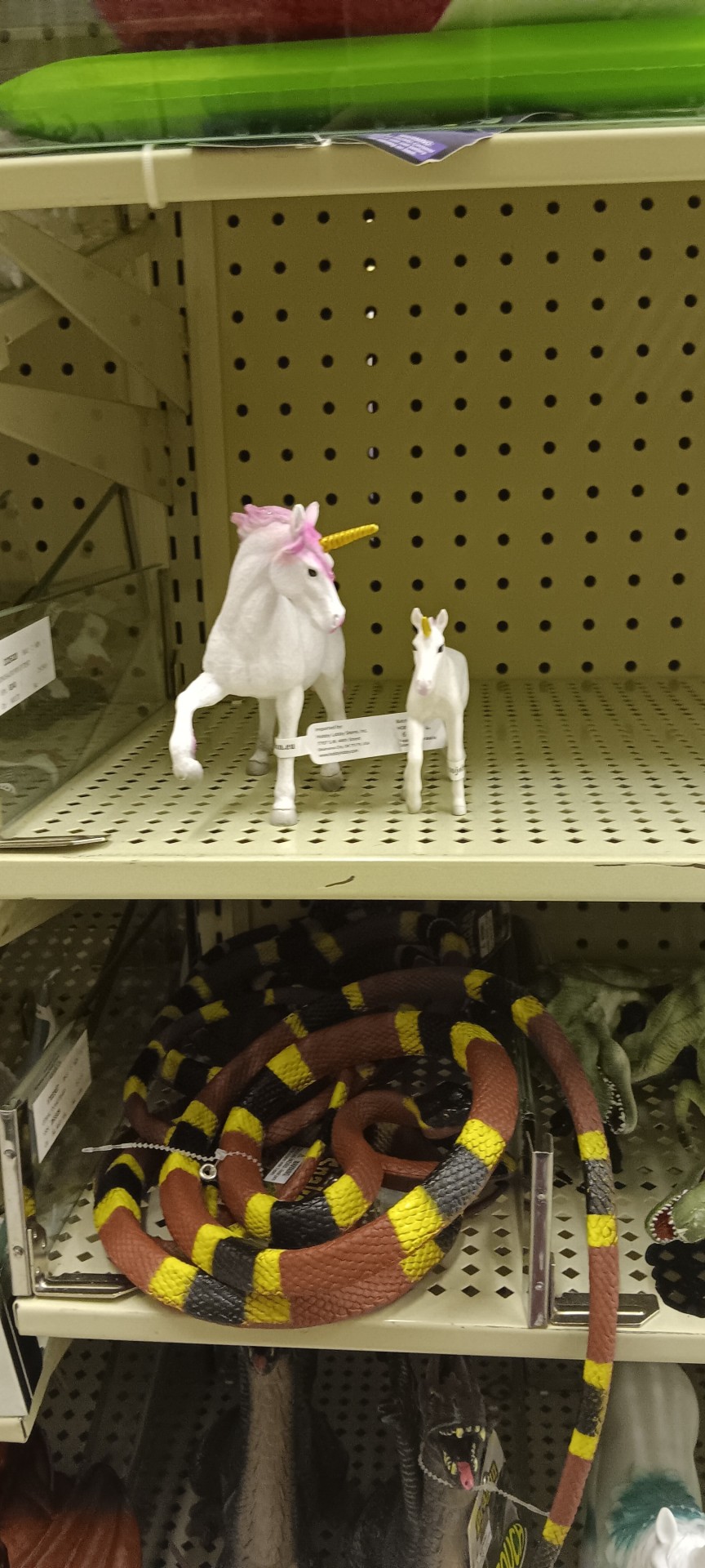 Unicorns And Pegasus 