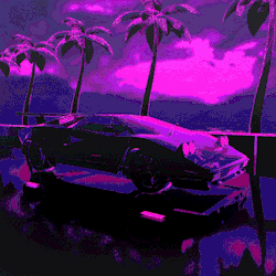 dualvoidanima:  ‘sunset-drIVE’