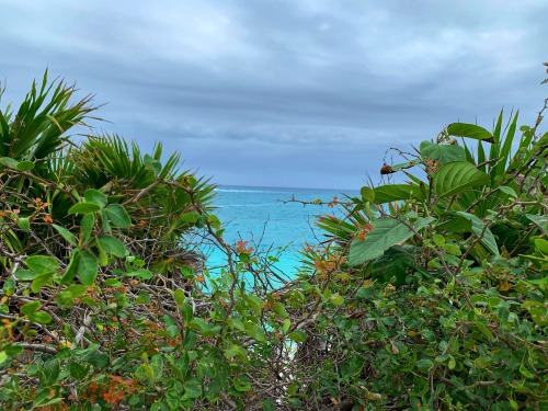Dreary Day In Tulum 