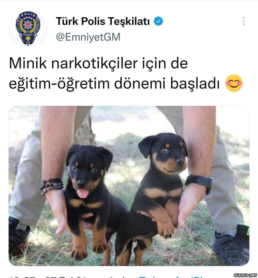 OLI Türk Polis Teşkilatı...