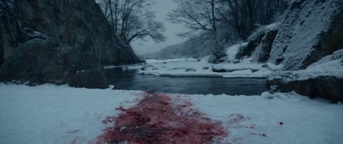 The Revenant, 2015 - Alejandro González IñárrituD.O.P - Emmanuel Lubezki