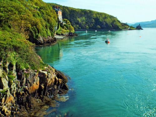 lovewales:Mawddach Estuary  |  by Wyn Edwards