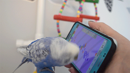 Pixel made an art. How many art? One art.