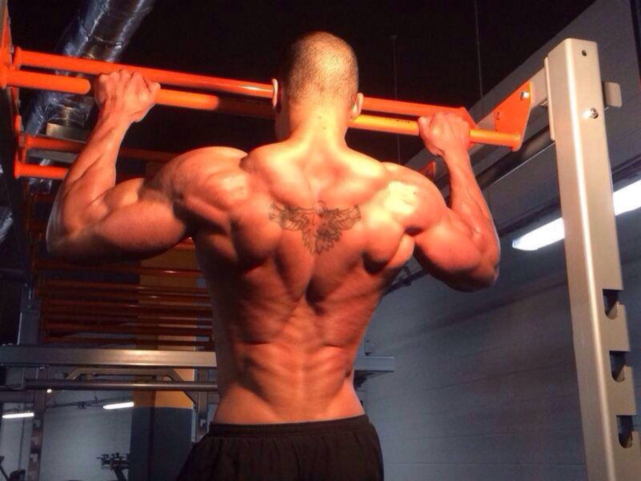 gloryholebigcoksucking:  melaninmuscle:  Back.  Arran Aro  Huh