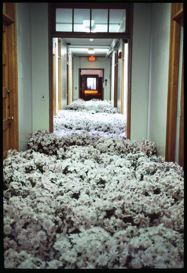 dappledandmisty:  afarewelltostellablue:  punk-arts:  28,000 Potted Flowers Installed