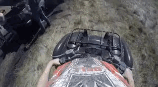thebadandgood:  My kind of day