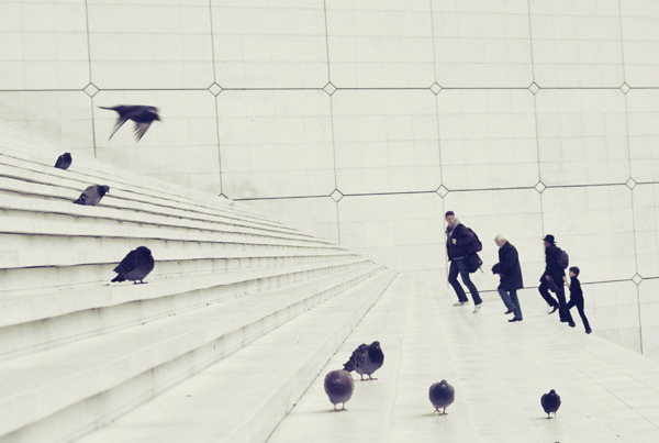 definitelydope:  By Gokhun Guneyhan 