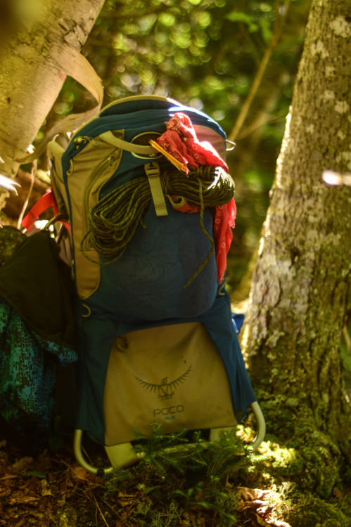 The PacksEarly June of 2015 my man and I took our 2 year-old son on a 3-day hike in the Bigelow Pres