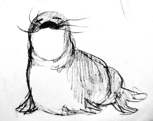 polyglotplatypus:here are some of the best seals i drew while taking the train today