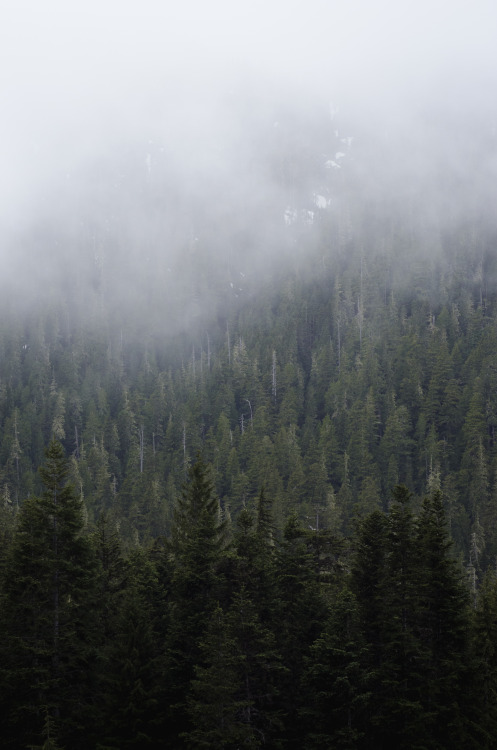 autumnsaurora: Western Fog © Autumns AuroraTumblr Flickr Instagram