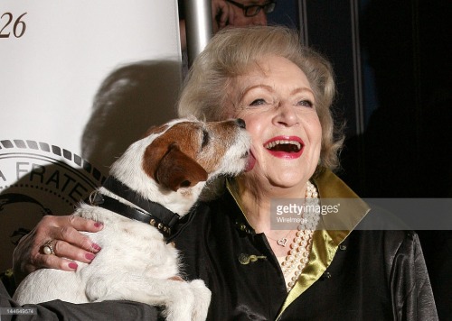 gettyimages:    Uggie - Star Of The Artist - Dies At 13  