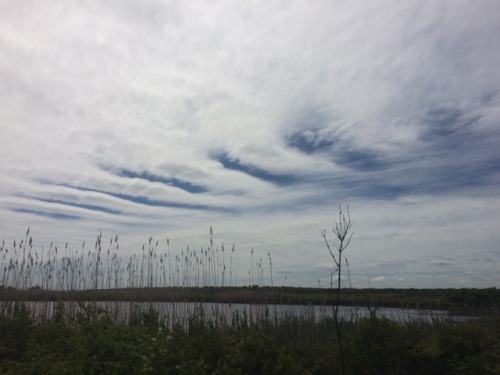 Interesting cloud structure at Moonstone Beach, RI
