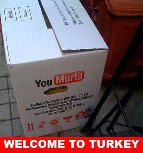 You Murta

Welcome to Turkey