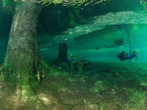 nicrowave:sixpenceee:Green Lake in Tal, Austria. Each year melting snow turns these hiking trails in