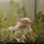 smallfishindeepwater