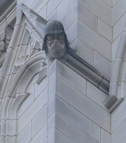 naveplanetexpress:  Church Gargoyles 