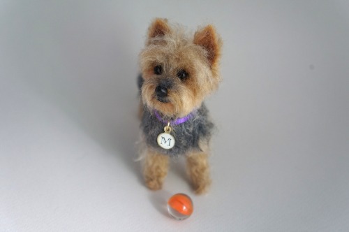 A needle felted Yorkie based on pet image.  One of my favorite breeds to make!