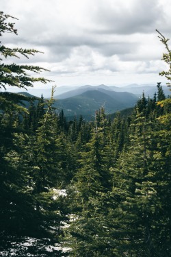 hannahkemp:Mount Hood National ForestPrints//Instagram