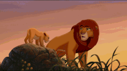 mejoresfrasesyescenasdelcineytv:  Simba con su hija Kiara &lt;3 &lt;3 &lt;3Escenas de la película “El Rey León 2: El tesoro de Simba” &lt;3 &lt;3 &lt;3 