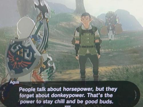 hornswogglingpapergirls: elfzelda: right on man  donkey power is best power