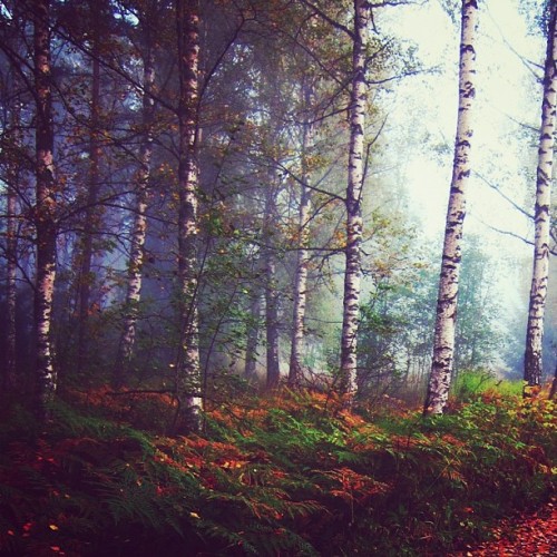 Blog image