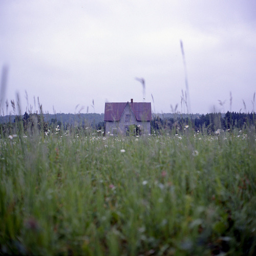moralnihilism:  Patrick Joust 