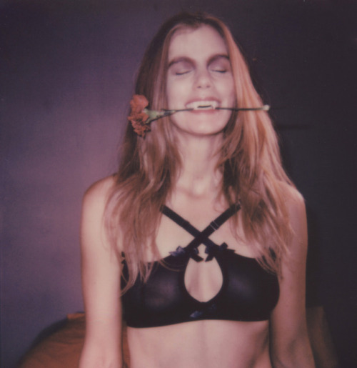 Lover’s CursePolaroids by Hopeless Lingerie