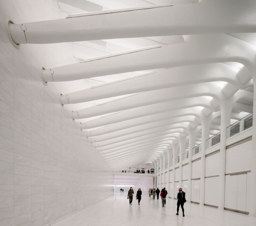 archatlas:World Trade Center Transportation Hub Santiago CalatravaCalatrava’s first major design dec