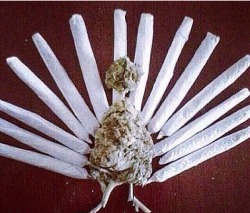 bornsinner2490:  Happy Thanksgiving, fire