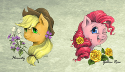 madame-fluttershy:  Flowers by Audrarius  =3