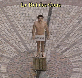 Francis PerrinLe Roi des Cons (1981)
