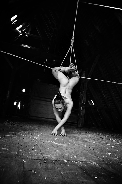 The wild side of erotic life