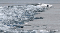 Jumpingjacktrash:  Archiemcphee:  Today The Department Of Awesome Natural Phenomena