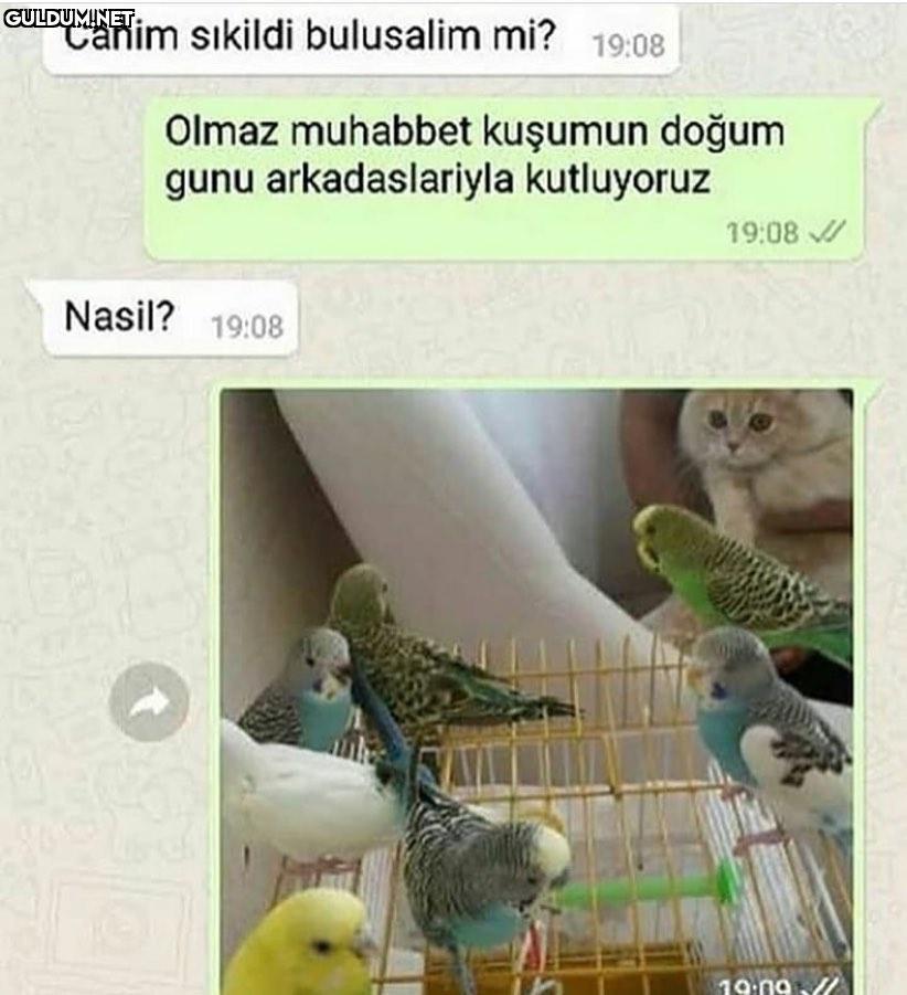 Sevmediğim biri yazınca;...