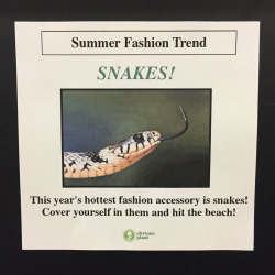 obviousplant:  I left these summer fashion trends at the mall to help shoppers stay current 