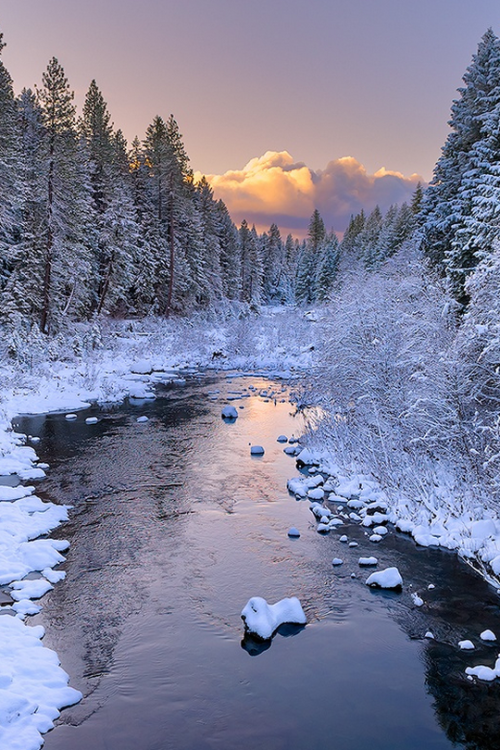 luxuriousimpressions:  A Winter Scene By Deb Harder 