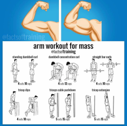 Fitness Workout