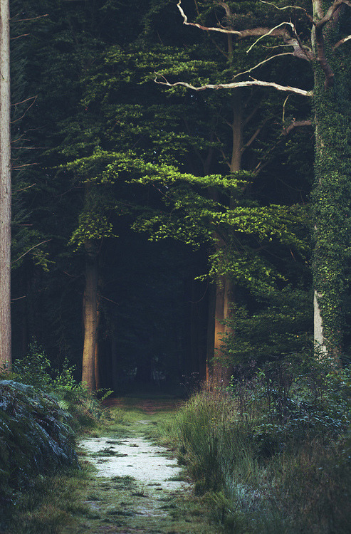 Imaginations