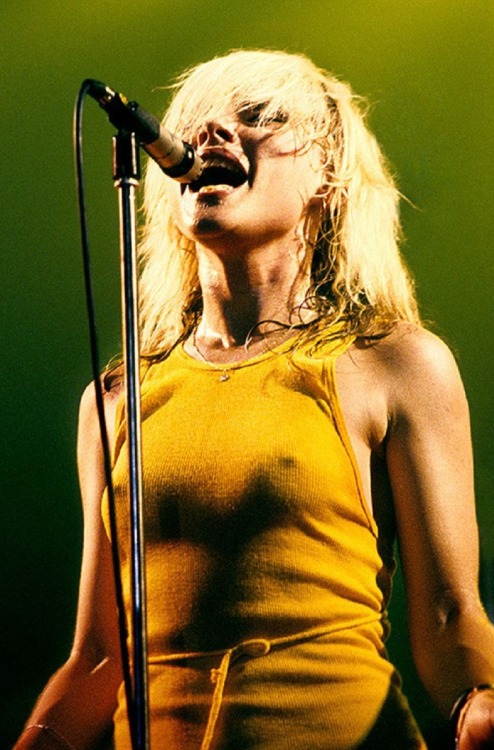 XXX blondie-poedie:  Debbie Harry  photo