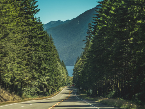 every year I hit a new national park as a goal.Olympic National Parkstill have yet so much to still 