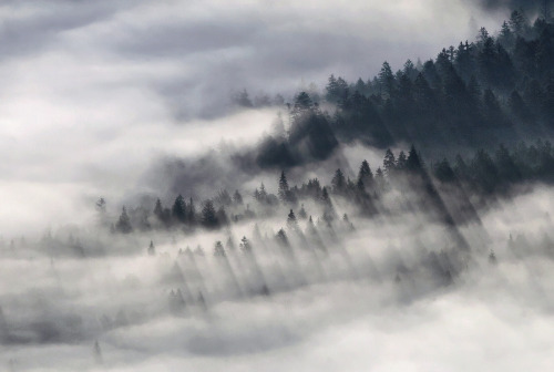 Towering over a sea of fog / by Kilian Schönberger KilianSchoenberger.de facebook.com/KilianSch