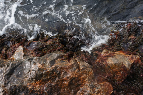 Water and Rocks at Drøbak, Norway.