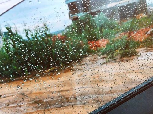 Teardrops #rain #raining #weather #drops #drop #window #green #sky #humid #дождь #ливень #капли #окн