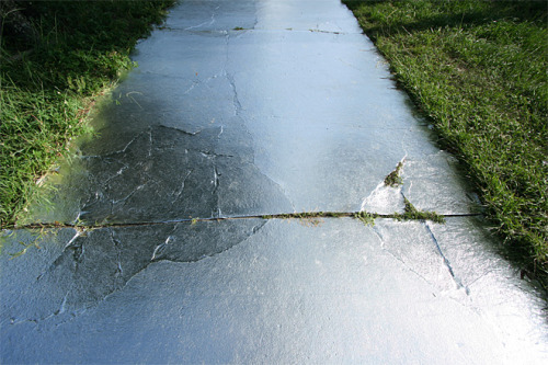 grossnational:Florida man stumps neighbors by covering home in aluminum foilTARPON SPRINGS, Fla. - P