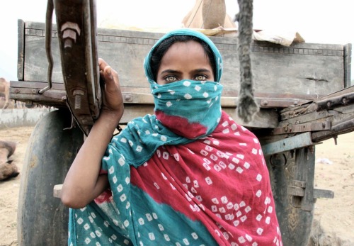 Pushkar - India Photography copyright by katren sudek