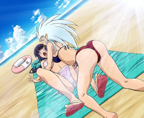 Best versions of various OAV4/5 Pics + Extras I could find.  For example the first Sasami without wa